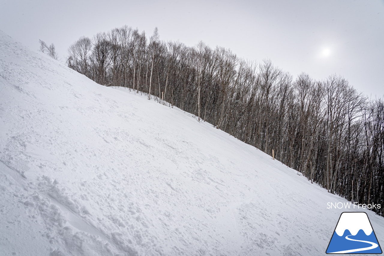 キャンモアスキービレッジ｜アットホームな人の優しさがもたらす、居心地の良さ…。スペックなどの数字では表すことが出来ない、スケール感の大きな素晴らしきローカルスキー場♪